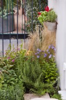 Growing herbs on balcony. Green Sky Pocket Garden, Chelsea Flower Show 2021 