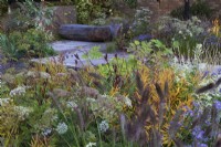 The M and G Garden. Paved area with rustic carved bench and a mix of gravel and paving for drainage. Autumn planting combination including Aster cordifolius, Pennisetum alopecuroides 'Cassian', foliage of Amsonia illustris and Aralia cordata and Ligusticum lucidum.
