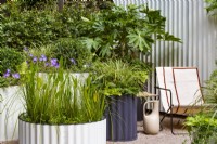 Hot Tin Roof Garden. Cream deck chair and jug with corrugated steel cream painted back wall and circular containers, including small pool. Shade-loving planting includes Fatsia japonica, Carex 'Ice Dancer', Heuchera 'Key Lime Pie', and Geranium 'Rozanne', with Pontederia lanceolata in the pond. Ferns include Polypodium vulgare and Dryopteris erythrosora 'Brilliance'.