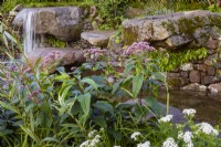 Psalm 23 Garden. Naturalistic cascade of water from granite, worn rocks in drystone wall into tranquil pool. Featuring Eupatorium maculatum
'Riesenschirm'.