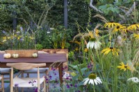 The Parsley Box Garden. Detail of courtyard garden seen from outside with table and chairs in early Autumn. Featuring planting of grass Anemanthele lessoniana with Echinacea pupurea 'White Swan', Rudbeckia fulgida var. deamii, purple Salvia, and garlic chives, Allium tuberosum.
