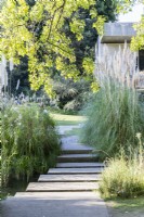 Concrete stepping stone path with Cortaderia - Pampas Grass. Lisbon, Portugal, September. 