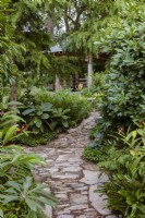 Trailfinders' 50th Anniversary Garden. Naturalistic stone pathway through dense evergreen planting, including Cautleya spicata, Rhododendrons, and ferns to timber shelter. Also including pine Pinus wallachiana.