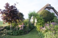 View of cottage garden with thatched cottage beyond