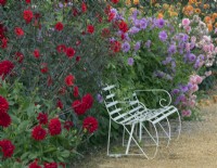 Dahlia border with  metal white garden seat 