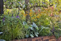 Raised bed planted with vegetables, perennials, grasses and herbs. he Parsley Box Garden at Chelsea Flower Show 2021