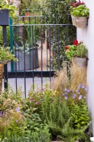 Growing herbs on balcony. Green Sky Pocket Garden, Chelsea Flower Show 2021 