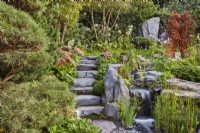 SStone steps by a waterfall, Pinus - Pine - in foreground. Bodmin Jail: 60Â° East - A Garden Between Continents, RHS Chelsea Flower Show 2021 Design: Ekaterina Zasukhina and Carly Kershaw