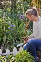Woman planting dahlia tubers in flowerbed.
