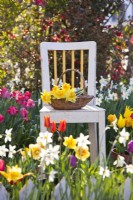 Trug with bouquet of daffodils.