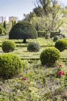 The Formal garden showing box hedges in poor condition and balls of box with Yew topiary. Lisbon, Portugal, September.
