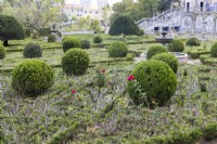 The Formal garden showing box hedges in poor condition and balls of box with Yew topiary Lisbon, Portugal, September.