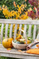 Autumnal arrangement on a bench
