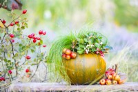 Autumnal arrangement with a pumpkin, crab apples, Gaultheria 'Big Berry' and Scirpus cernuus
