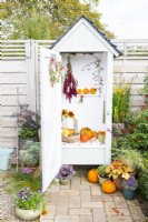 Autumnal display around small garden shed