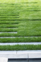 Lawn with several long step stones.