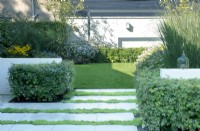 Path with stone steps in the lawn. Aster near the hedge in the border and birdhouse. Dividing garden with hedges planted around white low walls.
