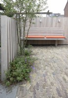 Special designed wooden bench at wooden fence with orange cushions and multi-stem tree in the border.