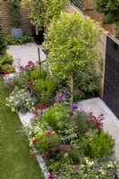 Aerial view of small suburban garden with summer borders
