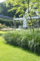 Border in lawn with grasses, Verbena and tree.
