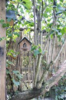 Bird house on bamboo screen boundary, viewed through tree.
