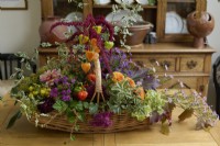 Autumn flowers, fruit  and  foliage including dahlias, Michaelmas daisies, crab apples, Chinese lanterns, ivy flowers, amaranthus, hydrangea, hypericum, pittosporum and grape vine leaves picked from the garden and arranged in a basket