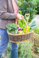 Woman carrying a wicker basket full of vegetables