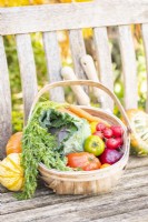 Wooden trug full of vegetables next to Squashes and gardening tools on a wooden bench