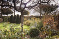 Country garden in November with evergreens and autumn colour 