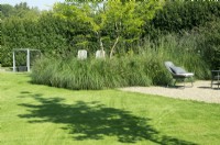 View across lawn to bed with ornamental grasses and specimen tree, seating nearby.