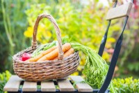 Radishes and Carrots in a small wicker basket