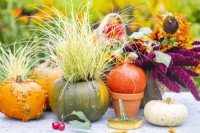 Autumnal display of pumpkins, squashes, grass and flowers
