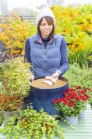 Woman placing crockery in plant pot
