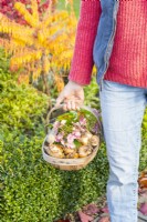Woman carrying a wooden trug full of bulbs and Hydrangea flowers