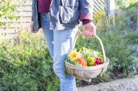 Woman carrying a wooden trug full of vegetables with a Dahlia flower