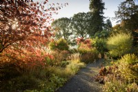 A path through the rock garden with autumn colour, ferns and grasses at Hergest Croft Gardens, Herefordshire in October