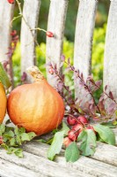 Pumpkin, Squash and Crabapples on a wooden bench