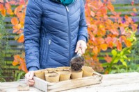 Woman filling fibre root training pots with compost