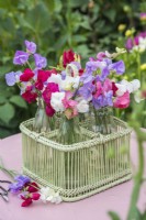 Lathyrus odorata - sweet peas arranged in glass bottles in green cane basket on pink table