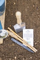 Trowel, watering can, bamboo cane, string, plant label, Orlaya grandiflora seeds laid out on the ground