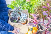 Woman storing wrapped up Succulents