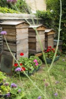 Wooden bee hives
