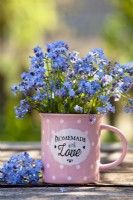 Forget me nots in a tea cup.