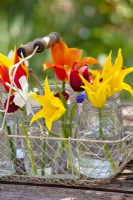 Wire trug with spring flowers in glass jars.
