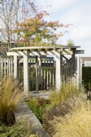 Wooden pavilion with planted roof and Quercus palustris tree in the middle. Ornamental grasses surrounding.