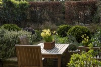 A view across the terrace to the garden.  With a terra cotta pot planted with Narcissus 'Hawera' on the wooden table.  In this long narrow garden plants include: Rosmarinus officinalis prostratus, 
 Pheasant Tail Grass - Anemanthele lessoniana, with a box  spheres - Buxus sempervirens and a beech hedge - Fagus sylvatica behind.  