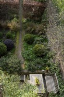 Looking down into the narrow garden at Loftus Road, onto the terrace by the house. Plants include: Buxus sempervirens, Pittosporum 'Tom Thumb', Anemanthele lessoniana and Fagus sylvatica.