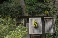Looking down through bamboo fronds onto the garden table, which has a pot of Narcissus 'Hawera'  in the centre.  In the background is Rosmarinus officinalis prostratus growing along a garden wall.  
