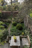 Birds eye view of a city garden.  On the garden table is a pot of Narcissus 'Hawera', and growing either side of the path are:  Buxus sempervirens and Pittosporum tenuifolium 'Purpureum' spheres,  Anemanthele lessoniana, a beech hedge - Fagus sylvatica.