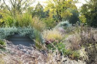 Grey container filled with mixed plants in between ornamental grasses.